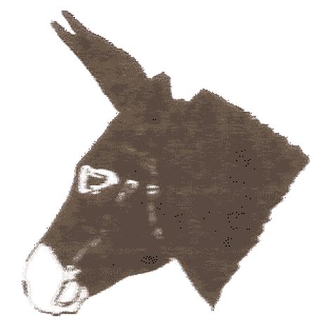 Donkey and Mule Society of South Australia Inc