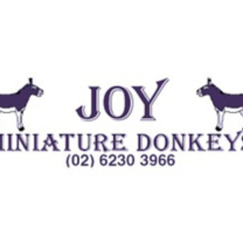 Joy Miniature Donkeys (NSW) Joan Young
